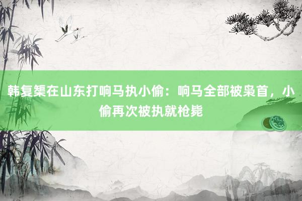 韩复榘在山东打响马执小偷：响马全部被枭首，小偷再次被执就枪毙