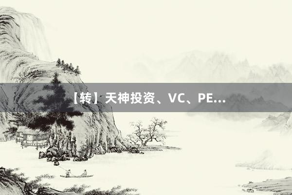 【转】天神投资、VC、PE...