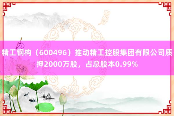 精工钢构（600496）推动精工控股集团有限公司质押2000万股，占总股本0.99%