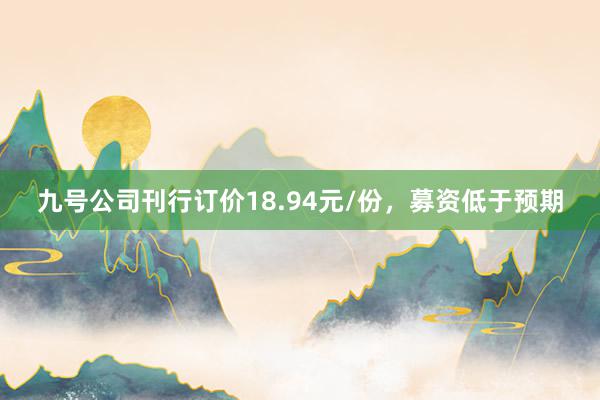 九号公司刊行订价18.94元/份，募资低于预期