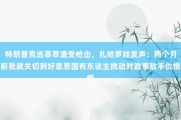 特朗普竞选荟萃遭受枪击，扎哈罗娃发声：两个月前我就关切到好意思国有东谈主挑动对政事敌手仇恨