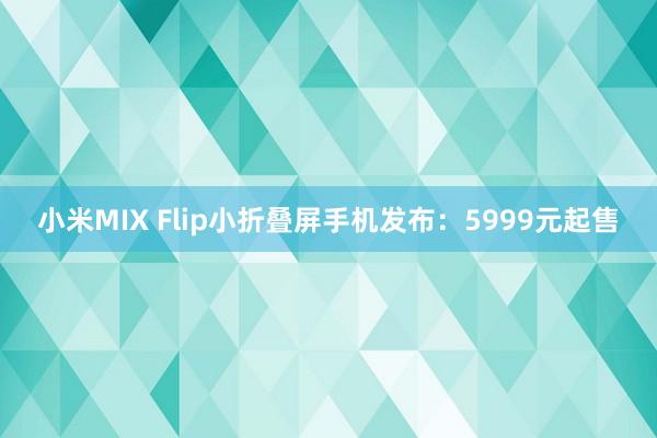 小米MIX Flip小折叠屏手机发布：5999元起售