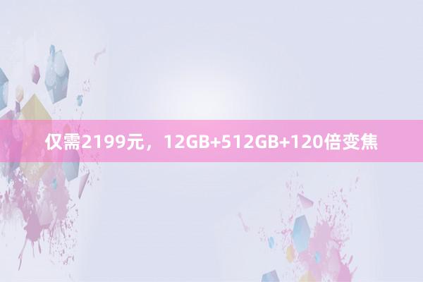 仅需2199元，12GB+512GB+120倍变焦