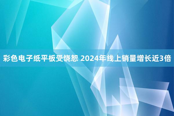 彩色电子纸平板受饶恕 2024年线上销量增长近3倍