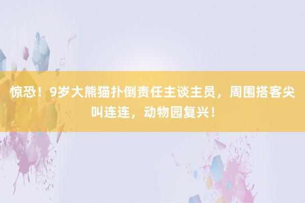 惊恐！9岁大熊猫扑倒责任主谈主员，周围搭客尖叫连连，动物园复兴！