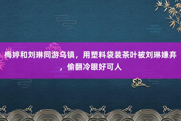 梅婷和刘琳同游乌镇，用塑料袋装茶叶被刘琳嫌弃，偷翻冷眼好可人