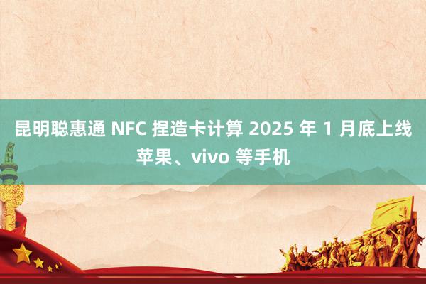 昆明聪惠通 NFC 捏造卡计算 2025 年 1 月底上线苹果、vivo 等手机