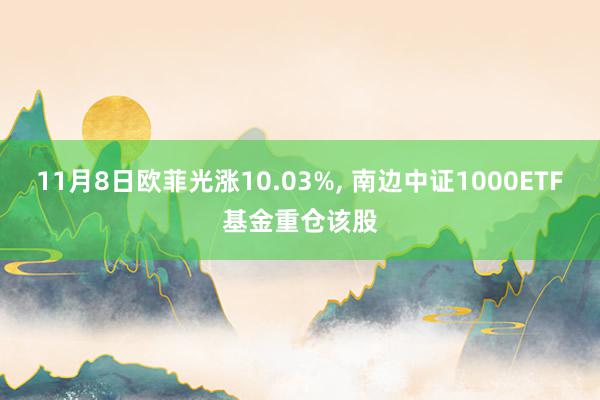 11月8日欧菲光涨10.03%, 南边中证1000ETF基金重仓该股