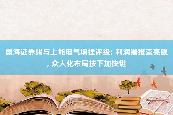 国海证券赐与上能电气增捏评级: 利润端推崇亮眼, 众人化布局按下加快键