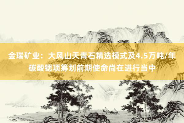 金瑞矿业：大风山天青石精选模式及4.5万吨/年碳酸锶项筹划前期使命尚在进行当中