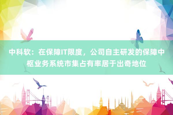 中科软：在保障IT限度，公司自主研发的保障中枢业务系统市集占有率居于出奇地位