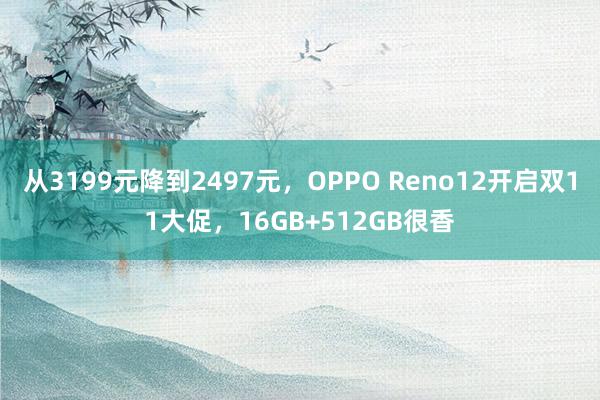 从3199元降到2497元，OPPO Reno12开启双11大促，16GB+512GB很香